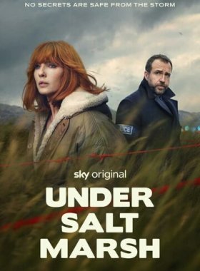 Под солончаком